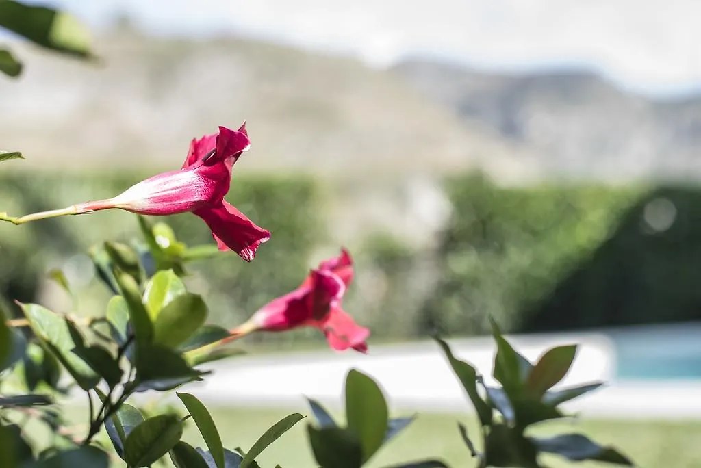 Villa Almond Taormina